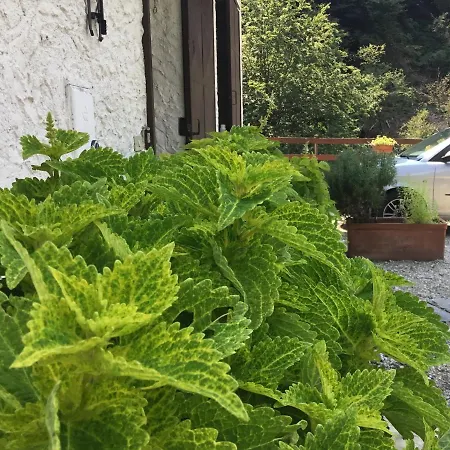 Casa de Férias Mulino Della Valle Cittiglio